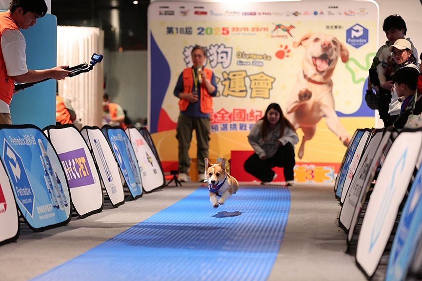 香港寵物節2026全攻略-10大必睇亮點-門票-時間-入場守則一覽